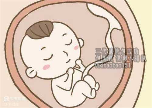 安徽专业供卵网,试管取卵越多越好吗 在北京做试管婴儿